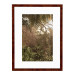 Wissellijst Wortelnoten A3 - Art Print en Passe Partout