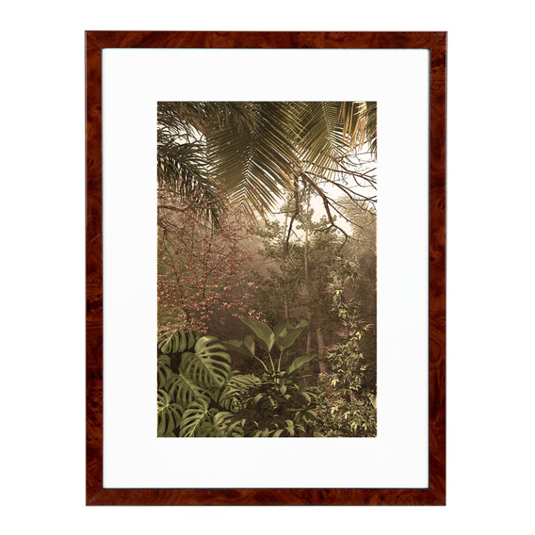 Wissellijst Wortelnoten A3 - Art Print en Passe Partout