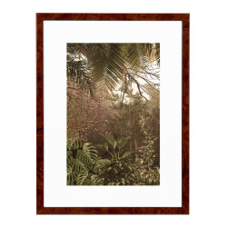Wissellijst Wortelnoten A3 - Art Print en Passe Partout