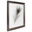 Fotolijst Transparant Barok 40x60 cm