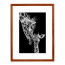Wissellijst Kersen A3 - Art Print en Passe Partout