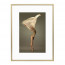 Wissellijst Champagne A0 - Art Print en Passe Partout