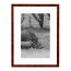 Wissellijst Wortelnoten A3 - Art Print en Passe Partout